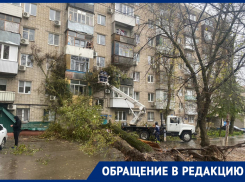 Вырванное с корнем дерево повредило несколько балконов в Ростове