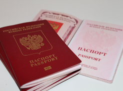 Половина иностранцев, получивших гражданство РФ, оформили его в Ростовской области