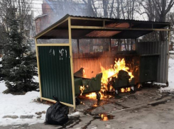В Ростове неизвестный за неделю сжег десять мусорных баков 