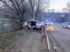 В Ростове таксист врезался в дерево при попытке скрыться от полиции