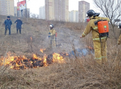 Ростовские власти ждут роста числа природных пожаров