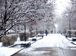 Первый снег в донской столице следует ожидать уже на следующей неделе