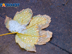 Сильный ветер и -3 градуса: прогноз погоды в Ростове на 2 декабря