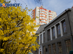 Прохладный и ветреный понедельник будет в Ростове 27 апреля