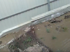 Река из фекалий и нечистот едва не смыла частный дом в Ростове