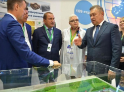 В Ростовской области построят новый зерновой терминал за 2,6 млрд рублей