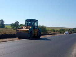 В Ростовской области для развития туризма построят дорогу вдоль Дона к 2026 году