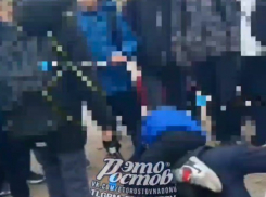 Ростовская полиция проводит проверку из-за видео с избиением ребенка