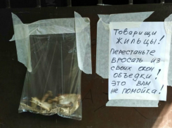 Утопившие двор в объедках сердобольные ростовчане довели до ручки соседей