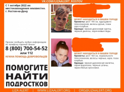 В Ростове найдены двое 17-летних подростков