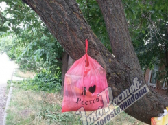 «Поросшее» мусорными пакетами дерево вызвало стыд за жителей частного сектора у ростовчан