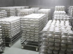 В Ростовской области откроют цех сыров с голубой плесенью в апреле 2023 года