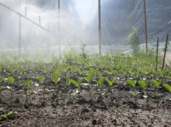 На мелиорацию Ростовской области выделено 4 млрд рублей