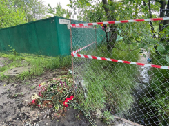 Бастрыкин поручил доложить, как в Ростове расследуют уголовное дело о гибели учительницы в ливневке 