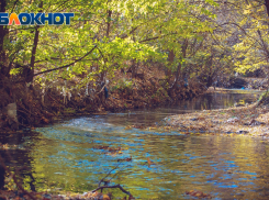 В воскресенье синоптики прогнозируют ясную погоду в Ростове 