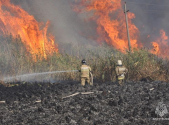 В Ростовской области за сутки потушили 131 пожар
