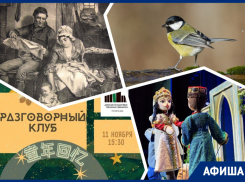 Кормим синичек, ищем «Образ минувших эпох» и лампу Аладдина: куда пойти в Ростове на этой неделе