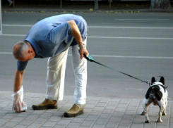 Экскременты собак Ростова заинтересовали местных и федеральных чиновников
