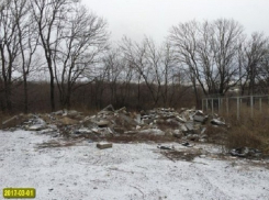 Заммэра Новочеркасска наказали за свалку в роще «Красная весна»