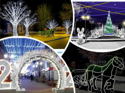 На новый год Ростов снова украсят световые деревья и повозка с лошадью