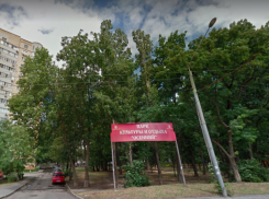 Дерево рухнуло на детскую площадку в Ростове-на-Дону