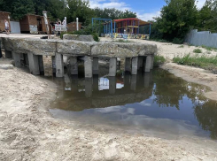 Информацию о сбросе стоков в Таганрогском заливе опровергли 