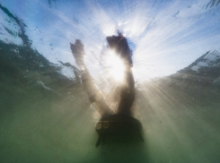 Два человека за сутки утонуло в Ростове