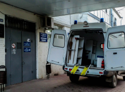 Жители Ростовской области проголосовали за увеличение числа автомобилей для медиков
