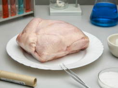 Подозрительными курами и свининой «потчевали» гостей кафешантана в Ростовской области