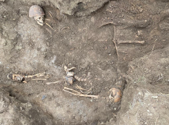 В Ростовской области нашли останки молодого бойца, погибшего в годы Великой Отечественной войны