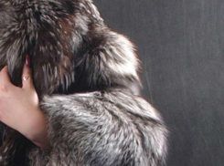 Отчаянная женщина разбила окно в ростовском коттедже и «превратилась» в хозяйку телевизора и шубы