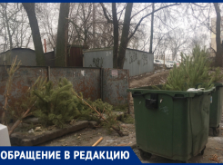 Жительницу Ростова возмутило безответственное отношение горожан к елкам