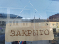 «Представить объективные данные невозможно»: в минэкономразвития не смогли назвать причины закрытия предприятий Дона