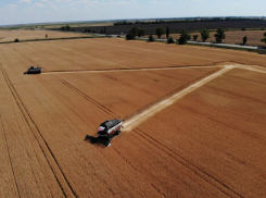 Поля Ростовской области украсили символами в поддержку российских военнослужащих