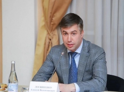 Глава администрации Ростова пожаловался на несовершенство системы закупок