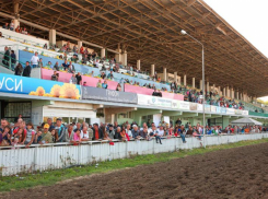 Ростовского ипподрома больше нет, но пока только юридически 