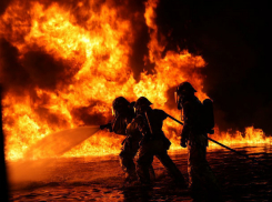 Сразу несколько масштабных пожаров вспыхнули в Ростовской области