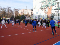 Власти Ростова опровергли информацию о продаже школьной спортплощадки