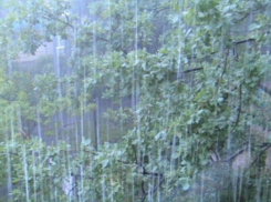 Штормовое предупреждение на первое сентября объявили в Ростовской области