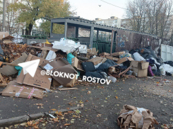 В Ростовской области уберут все свалки
