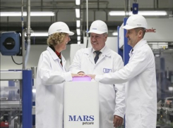 В Ростовской области открылся MARS, чтобы накормить ваших кошечек