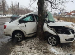 Жуткое столкновение с деревом после вылета в кювет унесло жизнь водителя иномарки в Ростовской области