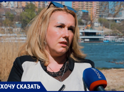 «Последствия могут быть непредсказуемыми»: общественник – о планах застроить левобережную рощу в Ростове высотками