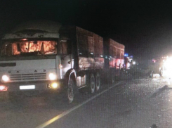 Шесть человек погибли в ДТП с припаркованным у обочины КамАЗом в Ростовской области