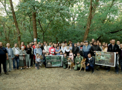 Рощу СКА могут передать в собственность Ростова-на-Дону в 2023 году