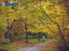 Облачная с прояснениями погода ждет ростовчан в воскресенье