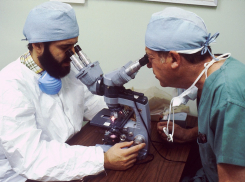 Росстат опубликовал данные о средней зарплате ростовских врачей