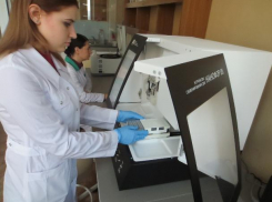 Ростовские ученые придумали новый способ борьбы с рыбным фальсификатом