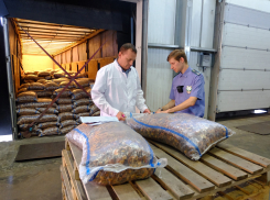 В Ростовскую область поступило 313 тонн сухофруктов из Узбекистана и Таджикистана 