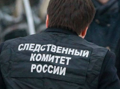 «Пьяным» автобусом с детьми заинтересовались следователи в Ростовской области